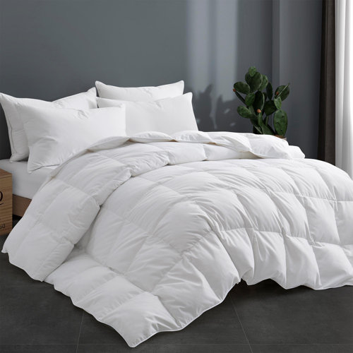Latitude Run® 600 All Season Goose Down Comforter & Reviews Wayfair